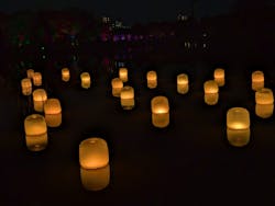 チームラボ ボタニカルガーデン 大阪に投稿された画像（2025/11/22）