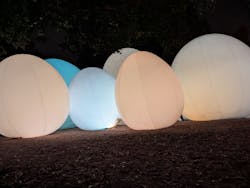 チームラボ ボタニカルガーデン 大阪に投稿された画像（2025/11/22）