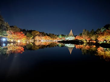 国営昭和記念公園 秋の夜散歩に投稿された画像（2025/11/22）
