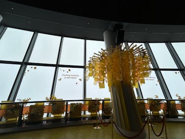 東京スカイツリーに投稿された画像（2025/11/22）