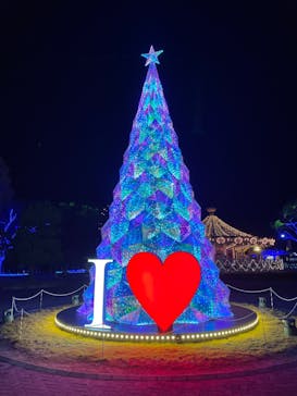 みろくの里に投稿された画像（2025/11/22）