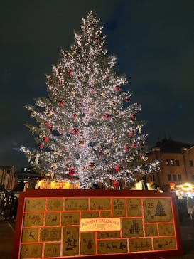 Christmas Market in 横浜赤レンガ倉庫 2025に投稿された画像（2025/11/22）