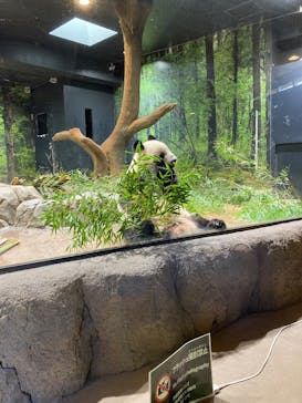 恩賜上野動物園に投稿された画像（2025/11/22）