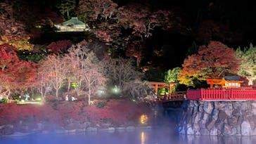 勝尾寺に投稿された画像（2025/11/22）