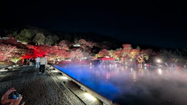 勝尾寺に投稿された画像（2025/11/22）