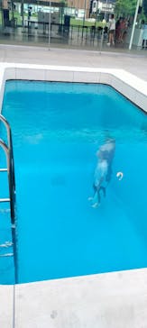 金沢21世紀美術館に投稿された画像（2025/11/22）