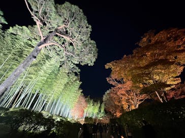 国営昭和記念公園 秋の夜散歩に投稿された画像（2025/11/22）