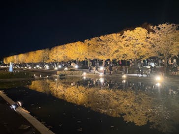 国営昭和記念公園 秋の夜散歩に投稿された画像（2025/11/22）