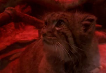 恩賜上野動物園に投稿された画像（2025/11/22）