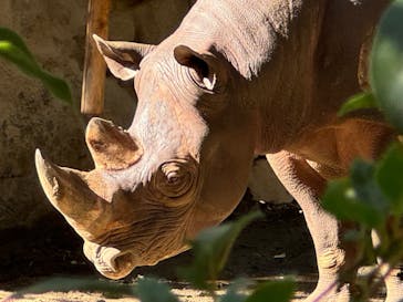 恩賜上野動物園に投稿された画像（2025/11/22）