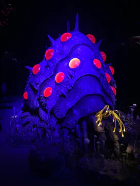 金曜ロードショーとジブリ展（静岡展）に投稿された画像（2025/11/22）