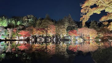 国営昭和記念公園 秋の夜散歩に投稿された画像（2025/11/22）