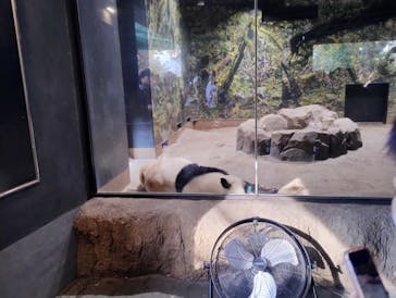 恩賜上野動物園に投稿された画像（2025/11/22）