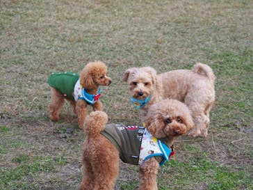 滋賀農業公園ブルーメの丘に投稿された画像（2025/11/22）