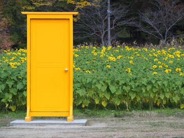 滋賀農業公園ブルーメの丘に投稿された画像（2025/11/22）