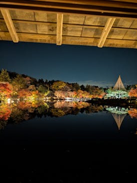 国営昭和記念公園 秋の夜散歩に投稿された画像（2025/11/22）