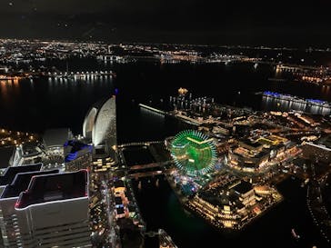 横浜ランドマークタワー 69階展望フロア スカイガーデンに投稿された画像（2025/11/22）