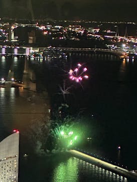 横浜ランドマークタワー 69階展望フロア スカイガーデンに投稿された画像（2025/11/22）