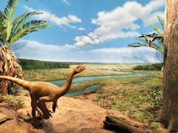 福井県立恐竜博物館に投稿された画像（2025/11/22）