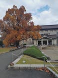 東京国立博物館に投稿された画像（2025/11/23）