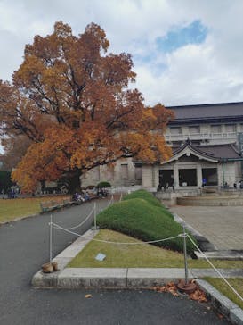 東京国立博物館に投稿された画像（2025/11/22）