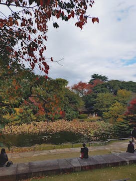 東京国立博物館に投稿された画像（2025/11/22）