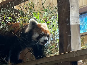 名古屋市東山動植物園に投稿された画像（2025/11/22）