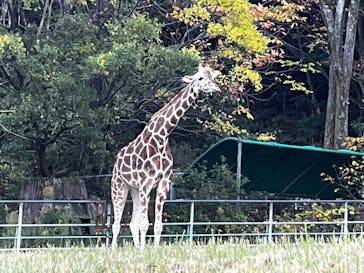 名古屋市東山動植物園に投稿された画像（2025/11/22）