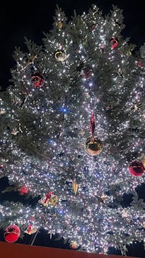 Christmas Market in 横浜赤レンガ倉庫 2025に投稿された画像（2025/11/22）