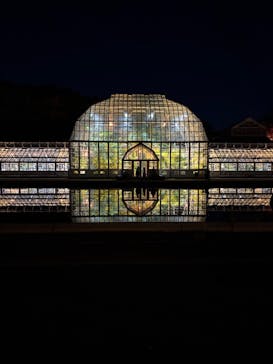 名古屋市東山動植物園に投稿された画像（2025/11/22）