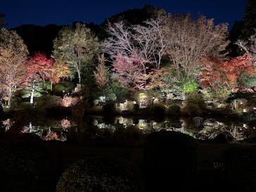 名古屋市東山動植物園に投稿された画像（2025/11/22）