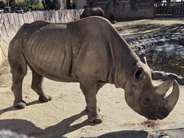 日立市かみね動物園に投稿された画像（2025/11/22）