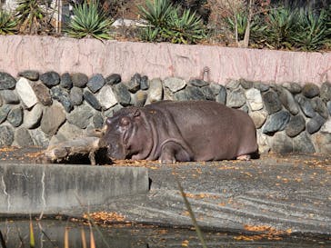 日立市かみね動物園に投稿された画像（2025/11/22）