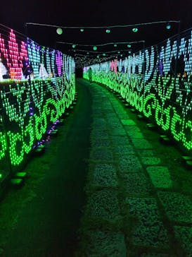 つま恋イルミネーションに投稿された画像（2025/11/22）