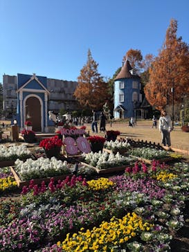 ムーミンバレーパークに投稿された画像（2025/11/22）