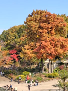 名古屋市東山動植物園に投稿された画像（2025/11/22）