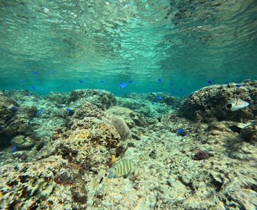 武藤潜水に投稿された画像（2025/11/22）