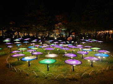 国営昭和記念公園 秋の夜散歩に投稿された画像（2025/11/22）