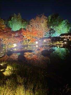国営昭和記念公園 秋の夜散歩に投稿された画像（2025/11/22）