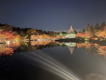 国営昭和記念公園 秋の夜散歩に投稿された画像（2025/11/22）