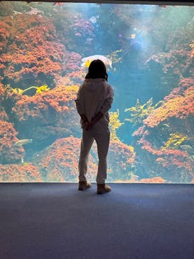 新江ノ島水族館に投稿された画像（2025/11/22）