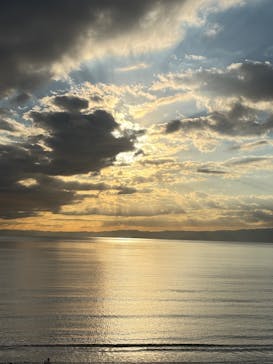 新江ノ島水族館に投稿された画像（2025/11/22）