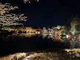 国営昭和記念公園 秋の夜散歩に投稿された画像（2025/11/23）
