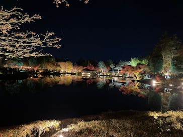 国営昭和記念公園 秋の夜散歩に投稿された画像（2025/11/22）