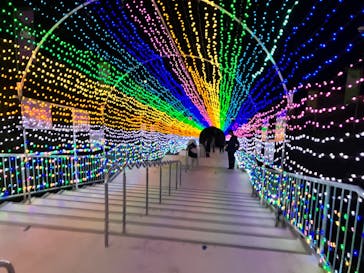 ハーモニーランドに投稿された画像（2025/11/22）