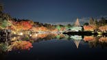国営昭和記念公園 秋の夜散歩に投稿された画像（2025/11/23）