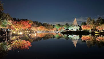 国営昭和記念公園 秋の夜散歩に投稿された画像（2025/11/22）