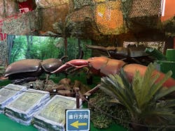 千葉こどもの国 キッズダムに投稿された画像（2025/11/23）