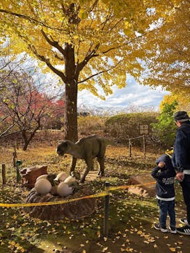 千葉こどもの国 キッズダムに投稿された画像（2025/11/23）