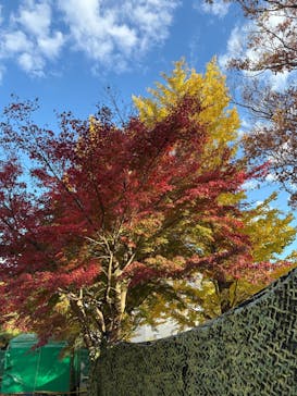 千葉こどもの国 キッズダムに投稿された画像（2025/11/23）